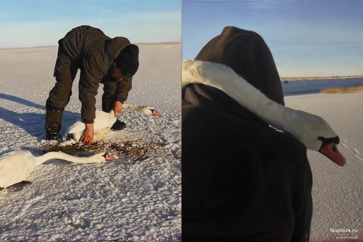 Казахстанец три месяца пел песни лебедям: финал истории на озере Сулусор поразил очевидцев