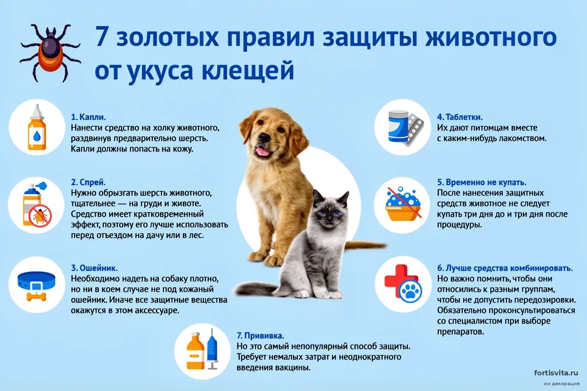 Роспотребнадзор предупредил о скрытой угрозе: почему обычная прогулка может стать фатальной