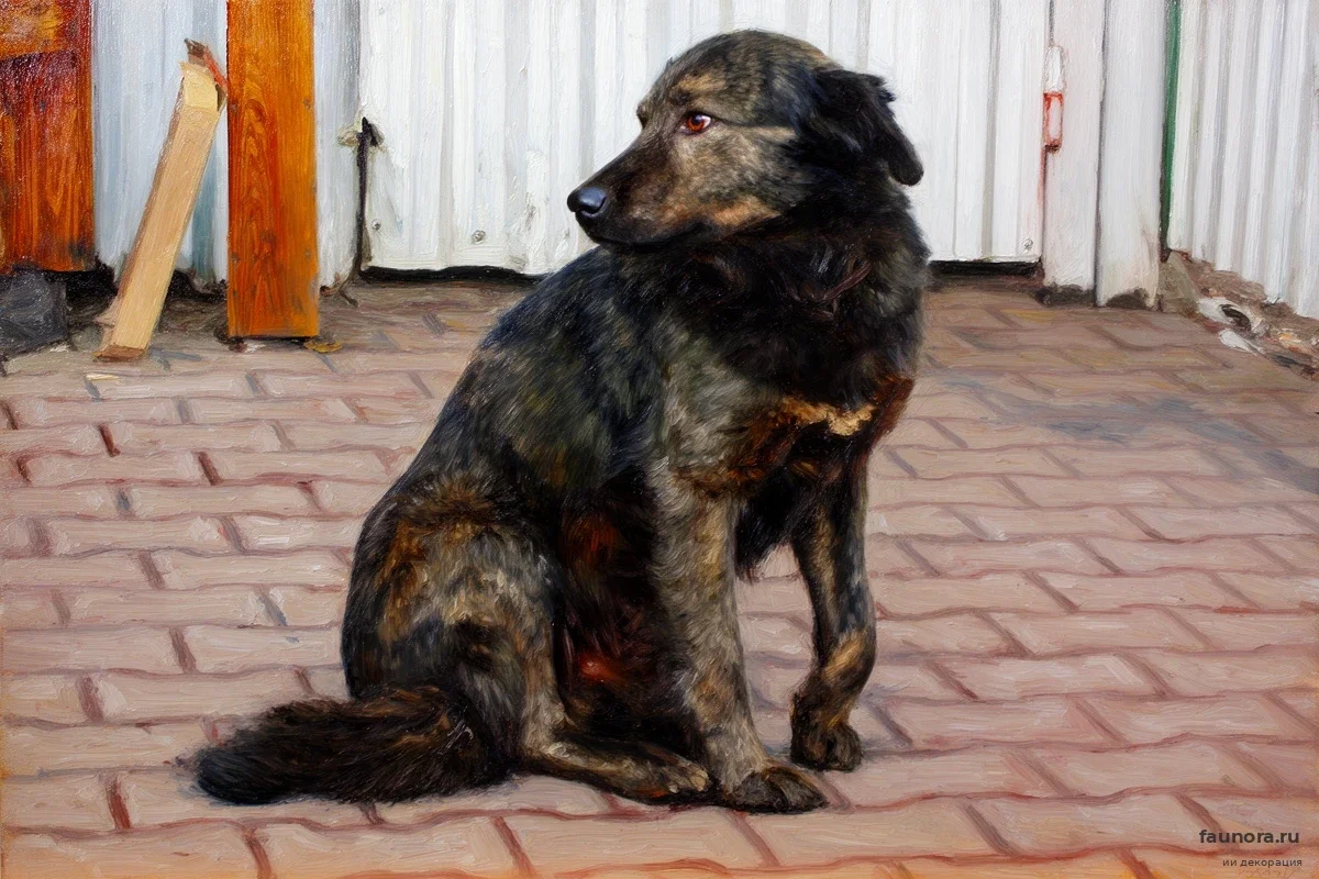 Владельцев животных ждет десятикратный рост штрафов: сенаторы меняют правила в КоАП