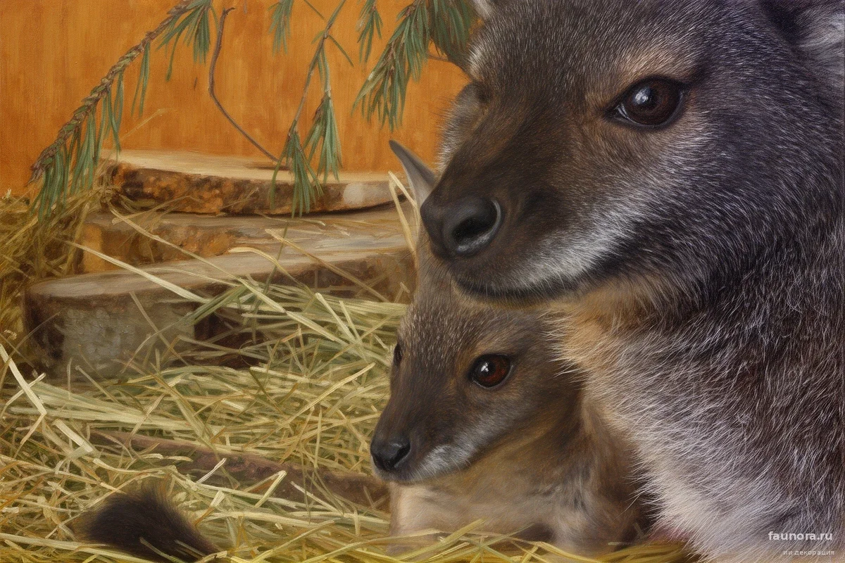 В Ленинградском зоопарке показали существ весом меньше грамма, которые полгода прятались от людей