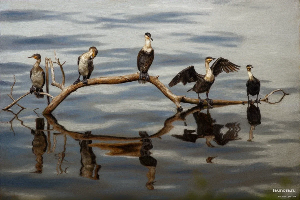 Байкальские осетры под угрозой: власти решают, как остановить прожорливых захватчиков