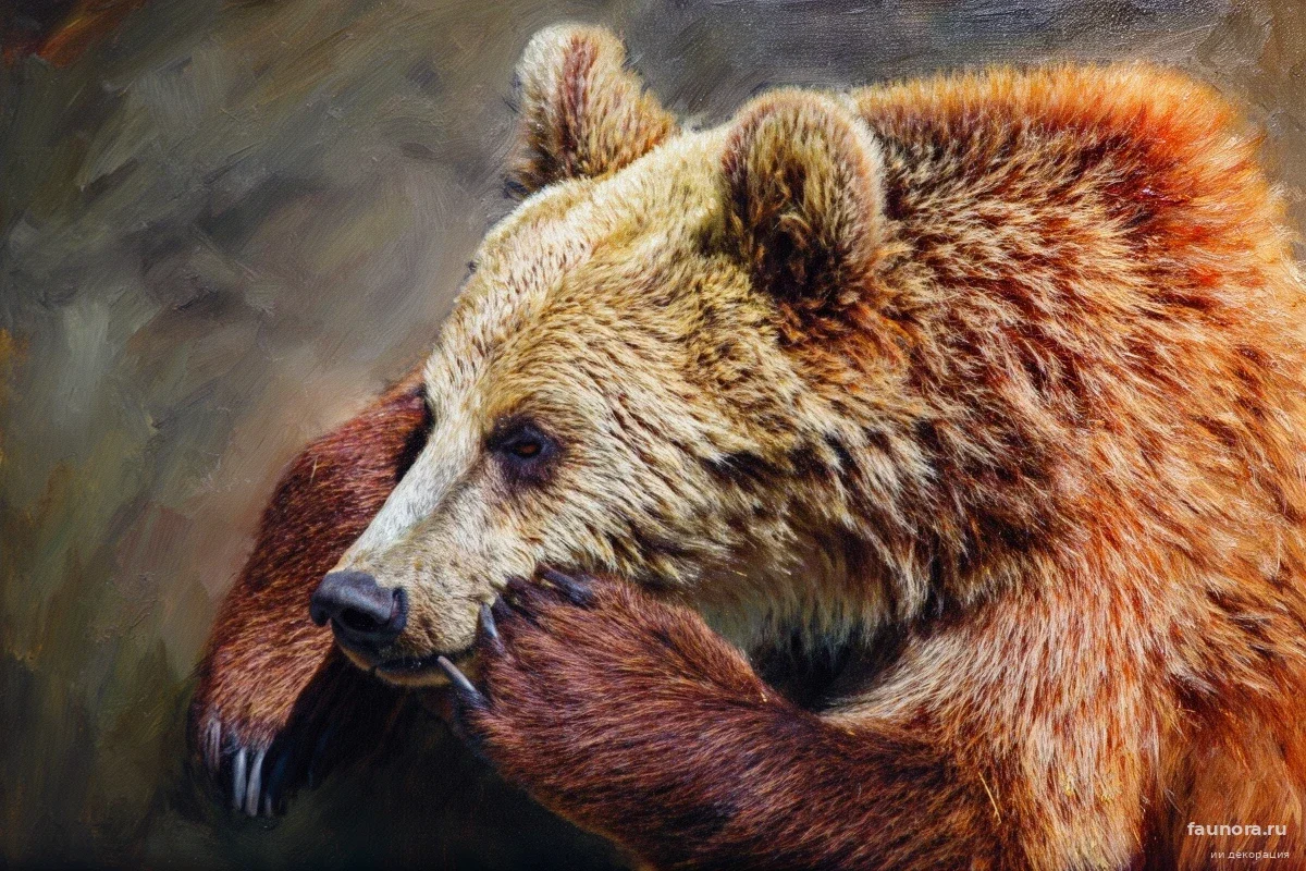 В нацпарке «Башкирия» сняли вышедшую из берлоги медведицу: одна деталь на фото встревожила ученых